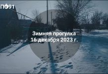 Зимняя прогулка