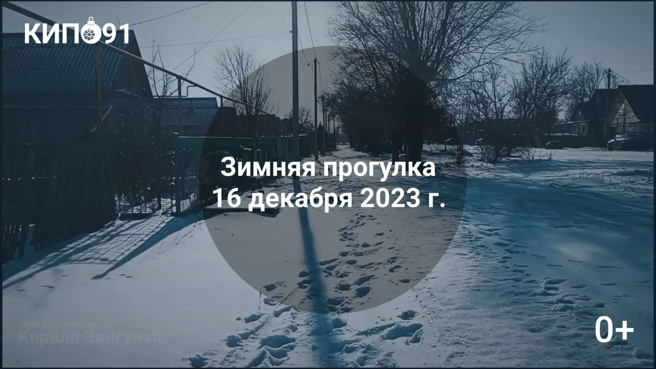 Зимняя прогулка